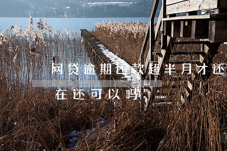 网贷逾期还款超半月才还(网贷逾期几个月后在还可以吗)