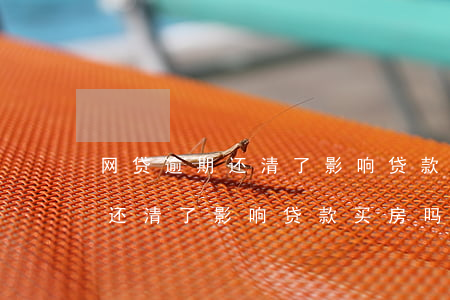 网贷逾期还清了影响贷款买房吗-网贷逾期还清了影响贷款买房吗怎么办