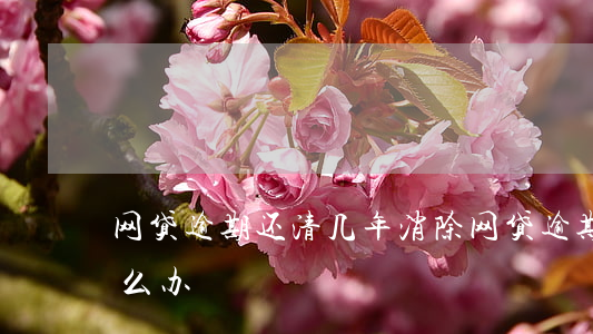 网贷逾期还清几年消除(网贷逾期好几年了怎么办)