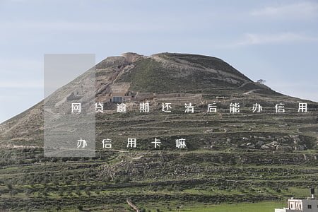 网贷逾期还清后能办信用卡吗(网贷逾期还能办信用卡嘛)