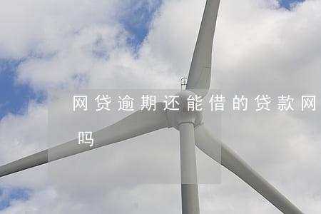 网贷逾期还能借的贷款(网贷逾期了还能网贷吗)