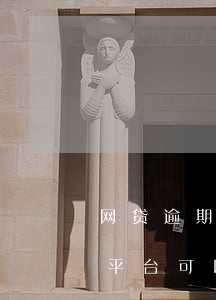 网贷逾期还能去哪里贷(网贷逾期了还有什么平台可以借钱的)