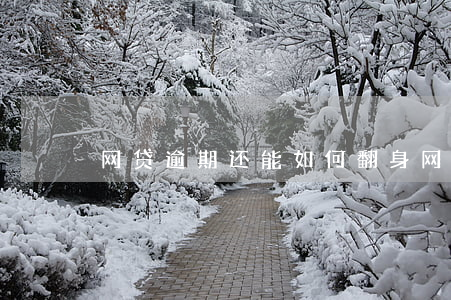 网贷逾期还能如何翻身(网贷逾期如何上岸)