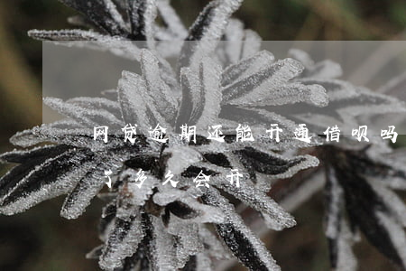 网贷逾期还能开通借呗吗(网贷逾期借呗关闭了多久会开)