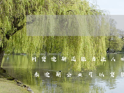 网贷逾期还能当法人吗(企业法人有网贷但是未逾期企业可以贷款吗)