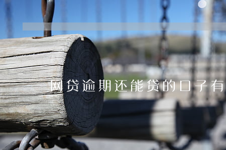网贷逾期还能贷的口子(有逾期还能网贷吗)