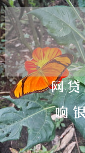 网贷逾期进厂子受影响吗(网贷逾期会不会影响银行贷款)