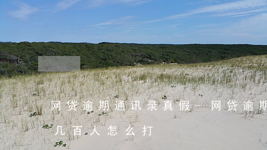 网贷逾期通讯录真假-网贷逾期了通讯录好几百人怎么打