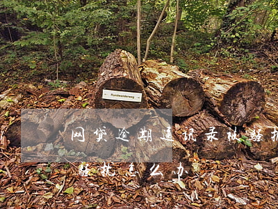 网贷逾期通讯录被骚扰6(网贷逾期通讯录被骚扰怎么办)