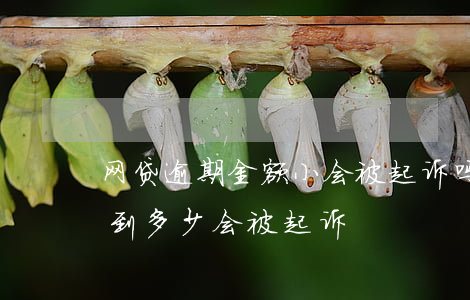 网贷逾期金额小会被起诉吗(网贷逾期金额达到多少会被起诉)