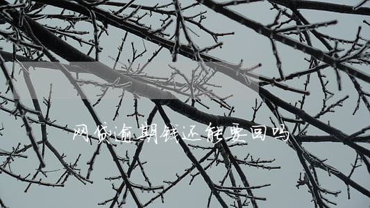 网贷逾期钱还能要回吗