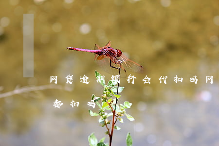 网贷逾期银行会代扣吗(网贷逾期代扣会每天都扣吗)