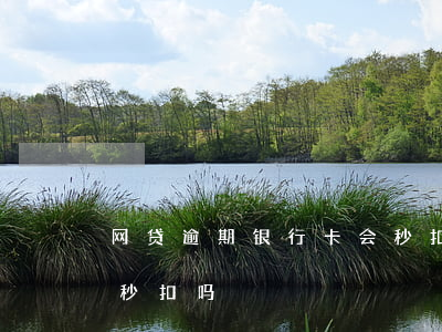 网贷逾期银行卡会秒扣吗(网贷逾期银行卡会秒扣吗)