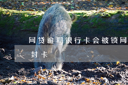 网贷逾期银行卡会被锁(网贷逾期哪些银行会封卡)