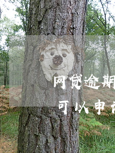 网贷逾期银行有权抵押么(有过逾期和网贷还可以申请银行贷款吗)