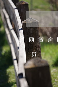 网贷逾期银行能查到么(怎么查自己逾期的网贷)