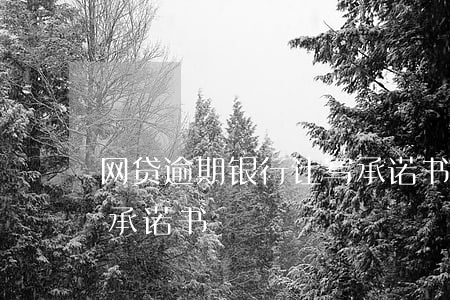 网贷逾期银行让写承诺书(网贷逾期银行让写承诺书)