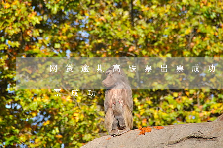 网贷逾期高铁票出票成功(网贷逾期高铁票出票成功)