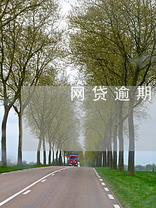 网贷逾期高额利息怎么办(网贷逾期利息太高)