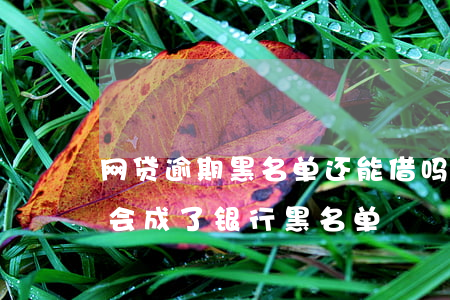 网贷逾期黑名单还能借吗(网贷逾期久了会不会成了银行黑名单)