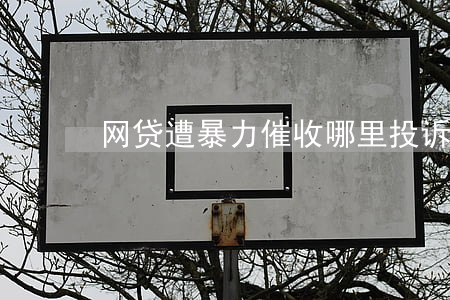 网贷遭暴力催收哪里投诉(网贷暴力催收举报)
