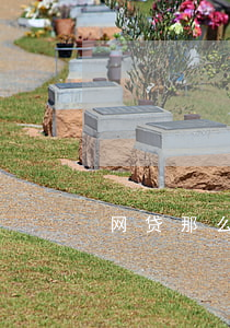 网贷那么多催收,提给谁（网贷那么多催收）