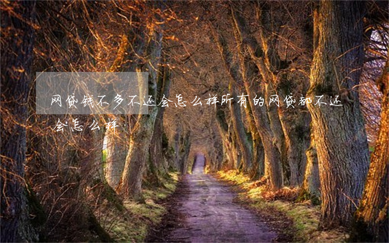 网贷钱不多不还会怎么样(所有的网贷都不还会怎么样)