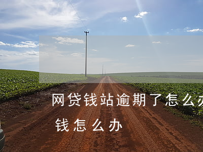 网贷钱站逾期了怎么办(我有网贷逾期急需用钱怎么办)
