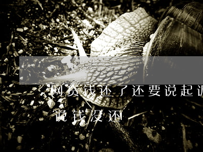 网贷钱还了还要说起诉(网贷还完了还被催收说钱没还)