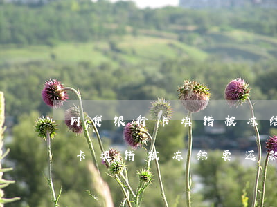 网贷银行卡填错被冻结要还款吗-网贷银行卡填错被冻结要还款吗怎么办