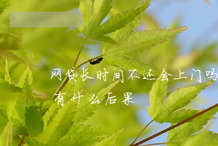 网贷长时间不还会上门吗(网贷长时间不还款有什么后果)