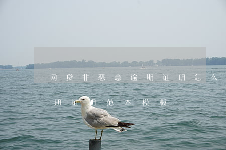 网贷非恶意逾期证明怎么打-网贷非恶意逾期证明范本 模板