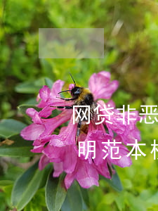 网贷非恶意逾期证明范本(贷款非恶意逾期证明范本 模板)