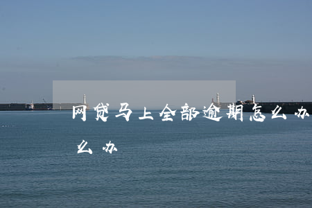 网贷马上全部逾期怎么办(网贷马上逾期了怎么办)