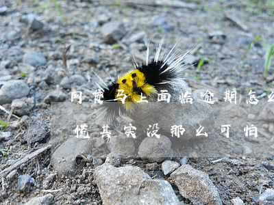 网贷马上面临逾期怎么办(网贷逾期怎么办?别慌,其实没那么可怕)