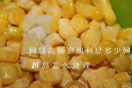 网贷高额逾期利息多少(网贷逾期了利息越来越高怎么处理)