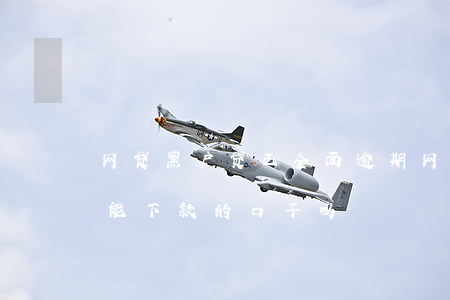 网贷黑户贷已全面逾期(网贷有逾期黑户还有能下款的口子吗)