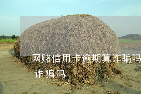网赌信用卡逾期算诈骗吗(网赌套现信用卡是诈骗吗)