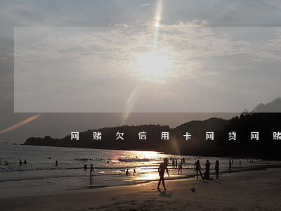 网赌欠信用卡网贷(网赌欠网贷信用卡38万)