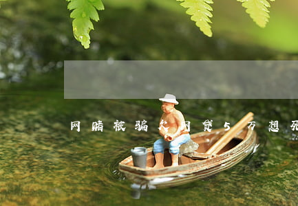 网赌被骗欠网贷5万想死(网赌欠网贷2万)
