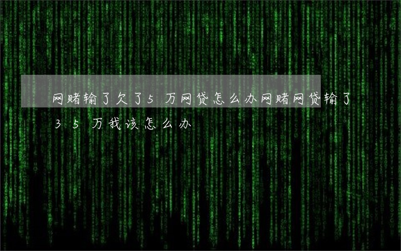 网赌输了欠了5万网贷怎么办(网赌网贷输了35万我该怎么办)