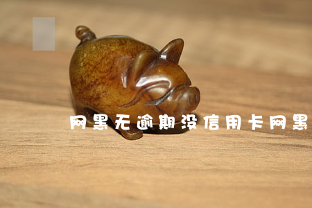 网黑无逾期没信用卡(网黑怎么办,从未逾期过)