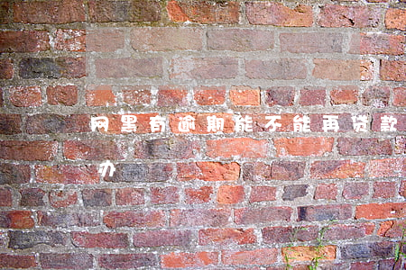 网黑有逾期能不能再贷款(黑网贷逾期了怎么办)
