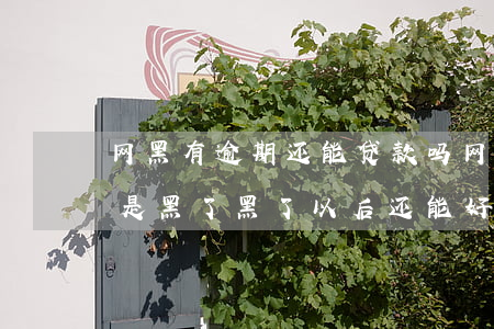 网黑有逾期还能贷款吗(网贷逾期2年了是不是黑了,黑了以后还能好吗)