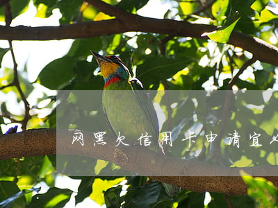 网黑欠信用卡申请宜人贷(网黑办信用卡)