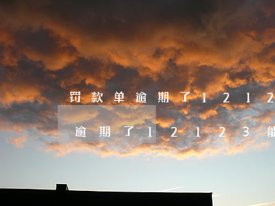 罚款单逾期了12123能看到吗-罚款单逾期了12123能看到吗怎么查
