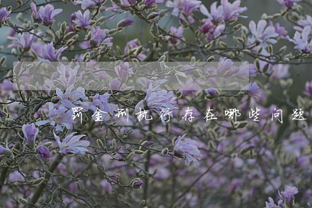 罚金刑执行存在哪些问题