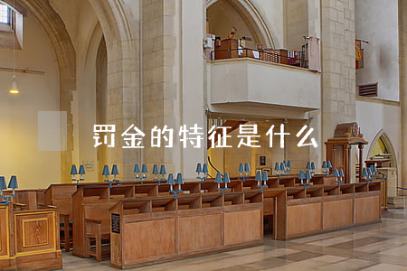 罚金的特征是什么