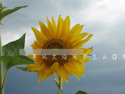 罪犯欠信用卡怎么還 罪犯欠信用卡怎么還錢