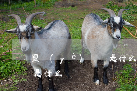 置業(yè)顧問是什么(置業(yè)顧問是什么)